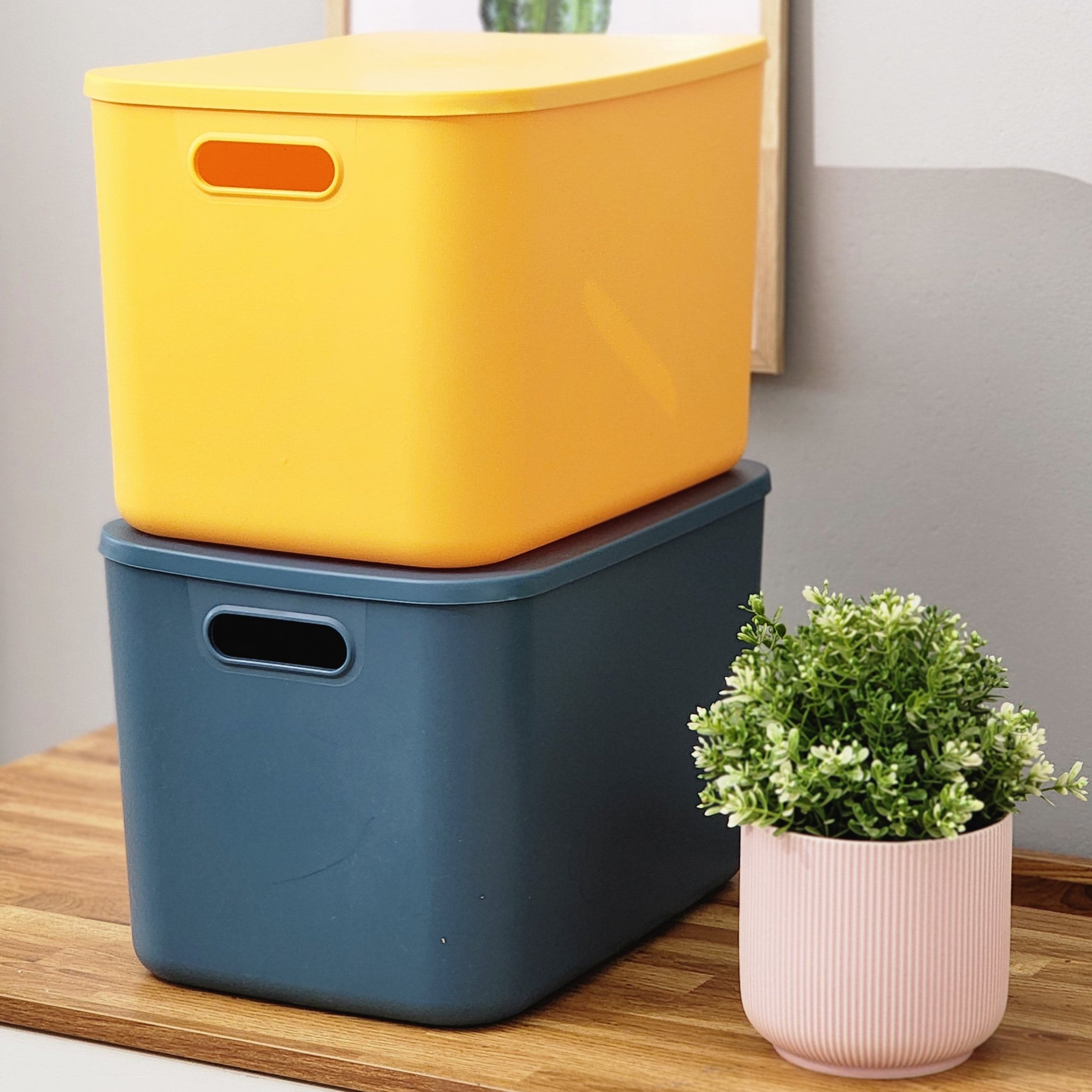 Pastel Stackable Bins with Lids - Large