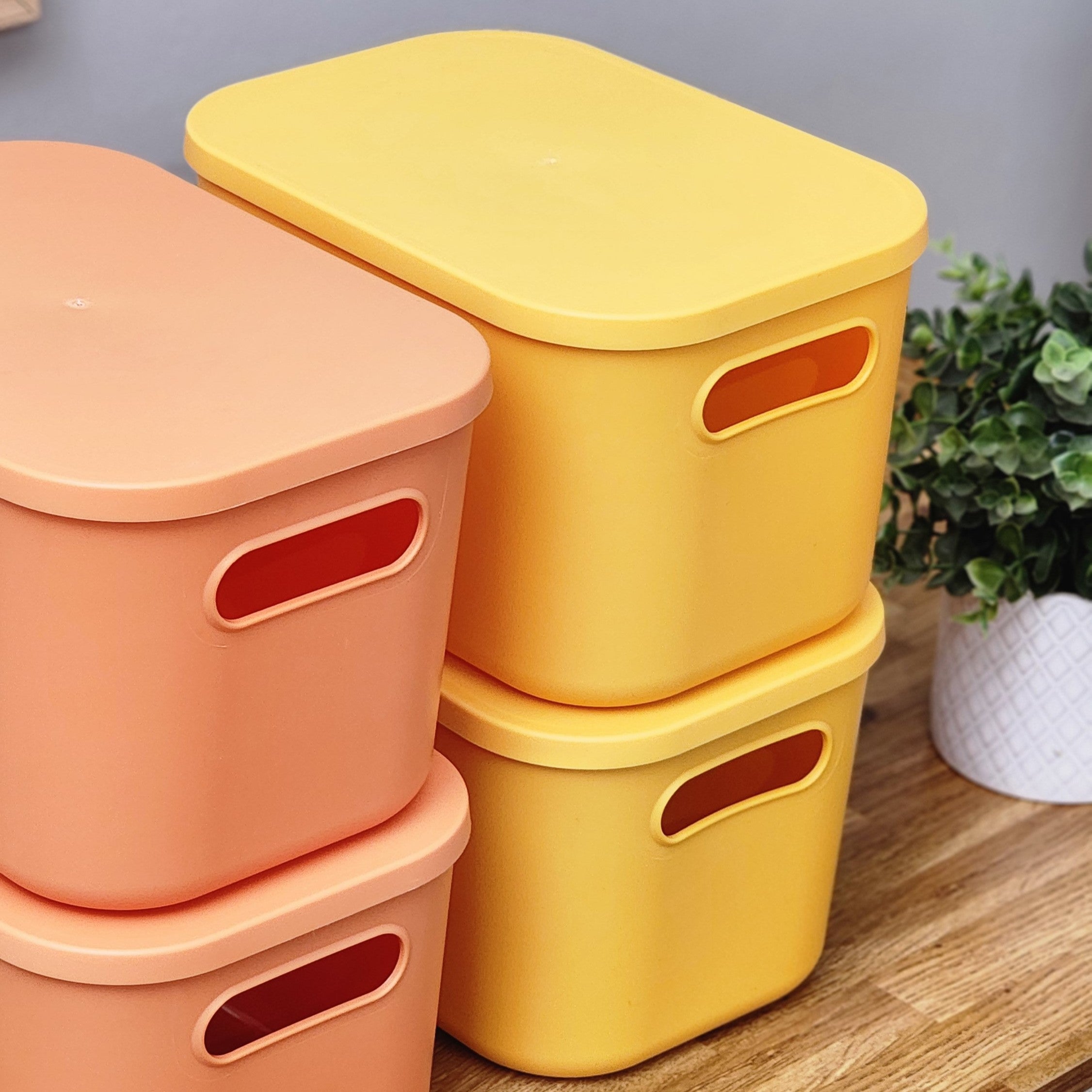 Multipurpose Stackable Bins with Lid - Small