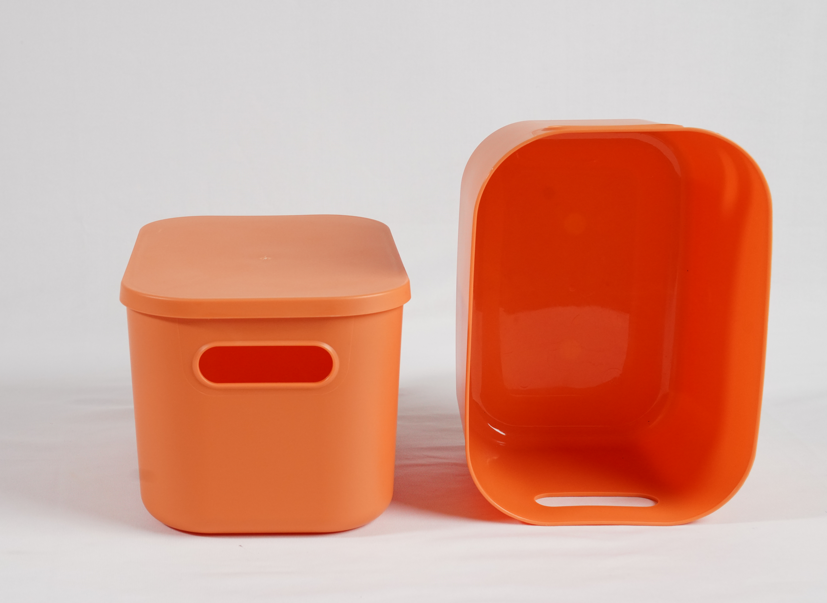 Multipurpose Stackable Bins with Lid - Small