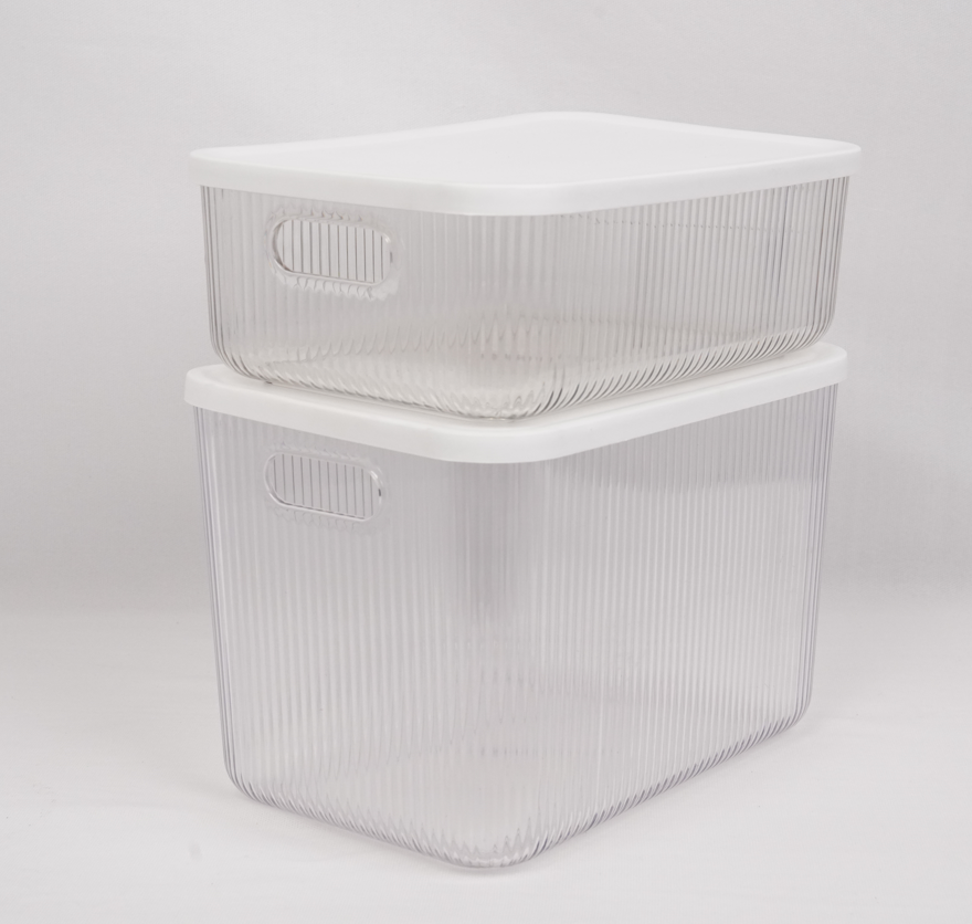 Multipurpose Ribbed Box with Lids - Semi-transparent | Small (Set of 2)